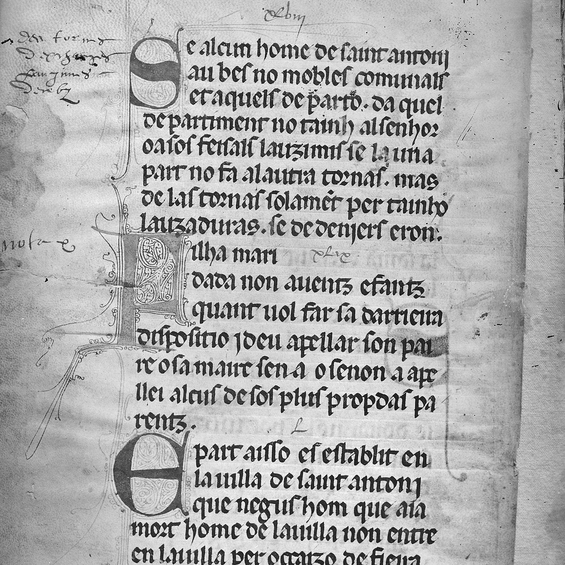 Photographie de manuscrit, collections du muséum de Toulouse