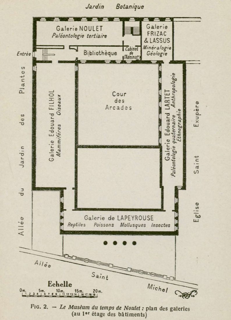 Plan du muséum avec la bibliothèque, collections du muséum
